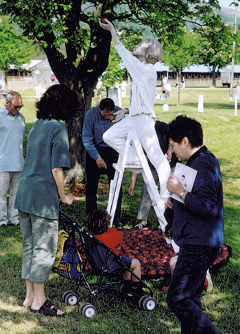EVE THE APPLE PICKER