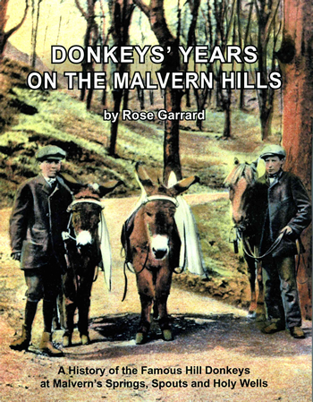 Donkeys Book Cover